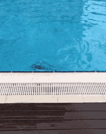Turkey Man Pool GIF - Turkey Man Pool Swimming GIFs
