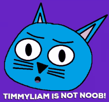 Timmyliam Noo GIF - Timmyliam Noo Cat GIFs