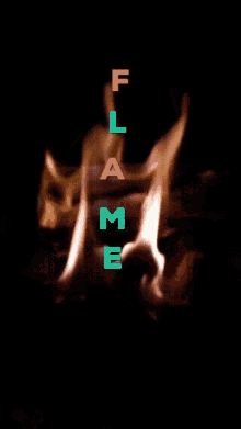 Burn Flame GIF - Burn Flame Fire GIFs