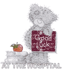 good luck at the hospital bear apple