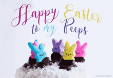 Happy Easter Funny GIF - Happy Easter Funny To My Peeps GIFs