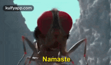 Namaste.Gif GIF - Namaste Eega Makki GIFs