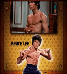Bruce Lee GIF - Bruce Lee GIFs