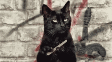 Really Disgust GIF - Really Disgust Disappointed GIFs
