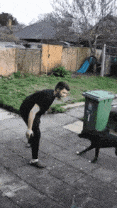 a man and a dog are playing in a backyard with a green trash can with the number 1 on it