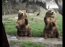 Byebye Bear GIF - Byebye Bye Bear GIFs