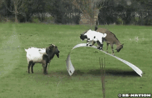 Game On Play GIF - Game On Play Goat GIFs