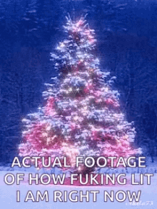 Actual Footage How Fucking Lit GIF - Actual Footage How Fucking Lit I Am Right Now GIFs