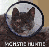 Monstie Huntie GIF - Monstie Huntie GIFs