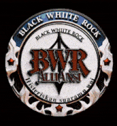 a logo for bwr alliance has a flame around it