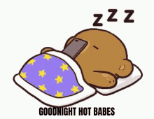 Hotbabes Goodnight GIF - Hotbabes Goodnight Love GIFs
