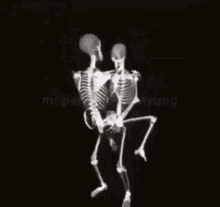 Skeleton Sex GIF - Skeleton Sex Skeletons GIFs
