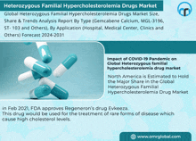 Heterozygous Familial Hypercholesterolemia Drugs Market GIF