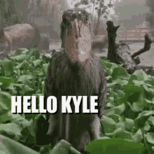 Hello Kyle GIF - Hello Kyle GIFs