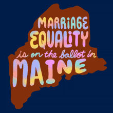 On The Ballot Marriage GIF - On The Ballot Marriage Election GIFs