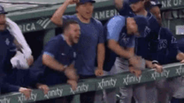 Rays Tampa Bay Rays GIF - Rays Tampa Bay Rays Theteremyjaylor - Discover &  Share GIFs