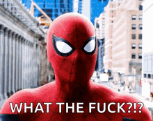 Spider Man GIF - Spider Man Shocked GIFs