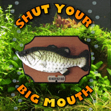 Shut Your Big Mouth Big Mouth Billy Bass GIF - Shut Your Big Mouth Big Mouth Billy Bass Be Quiet GIFs