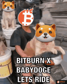 Bitburn Babydogeswap GIF