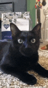 GIF