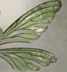 Aesthetic Green GIF - Aesthetic Green Sage GIFs