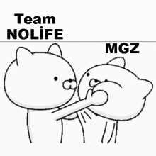 No Life Vs Mgz GIF
