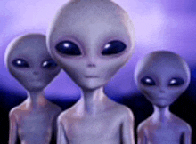 a group of gray aliens standing next to each other in front of a purple sky .