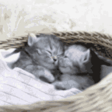Goodnight Sleep GIF - Goodnight Sleep Hug GIFs