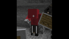 a minecraft character with a red hoodie and a cross on his back