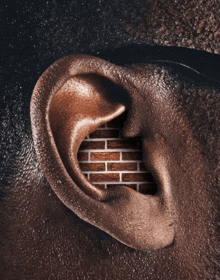 a close up of an ear with a brick wall behind it