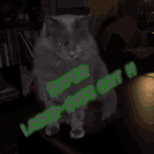 Cat Super Laser Eyes GIF - Cat Super Laser Eyes Laser Eyes GIFs
