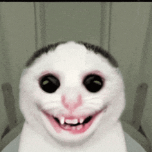 a close up of a cat 's face with its mouth open and teeth showing