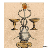 a drawing of a snake surrounding a bottle and two goblets with pixiz written on the bottom
