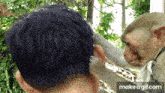 a monkey scratching a man 's head with a make a gif.com watermark