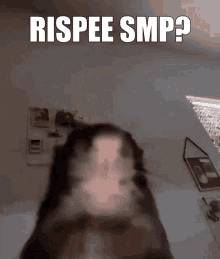Rispee GIF - Rispee GIFs