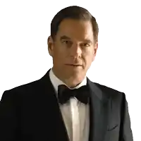 a man in a suit and bow tie looks at the camera