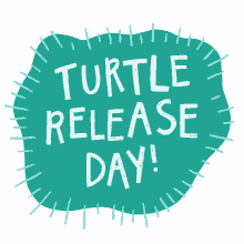 release turtle
