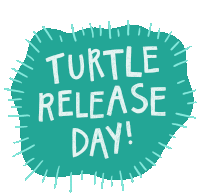 Turtle Turtle Release Sticker - Turtle Turtle Release Orp Stickers
