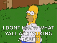 homer simpson from the simpsons is standing in the grass and talking about something .
