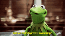 The Muppets Kermit GIF - The Muppets Kermit And We Ended Up Cross Promoting GIFs