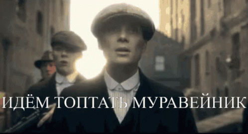Shelby шелби GIF - Shelby шелби муравьи GIFs