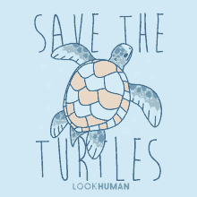 turtles animal