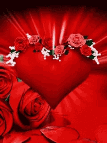 heart love flowers rose