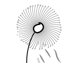a black and white drawing of a dandelion with arrows pointing to it