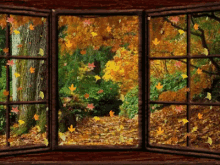 Fall Weather GIF - Falling Leaves Changing Leaves Leaves Falling GIFs