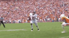 a football player with the number 2 on his jersey is running down the field