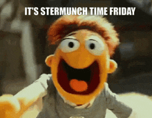 a picture of a muppet that says it 's stermrunch time friday