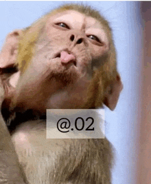 a close up of a monkey sticking its tongue out with a sticker that says @ 02 on it