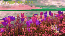 jai veer hanuman flower nature changing colors