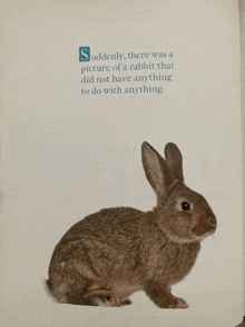a book is open to a page with a picture of a rabbit and a quote
